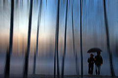 photo "***"
