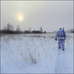 фото "Зимняя"