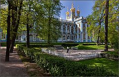 photo "Tsarskoye Selo. musician"