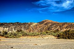 фото "BEAUTIY OF THE DESERT"