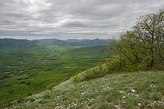 фото "В предгорьях Абина."