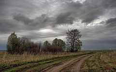 фото "Весне - дорогу"