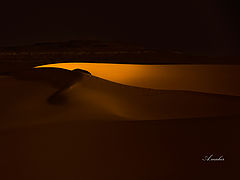 фото "FIRST LIGHT"