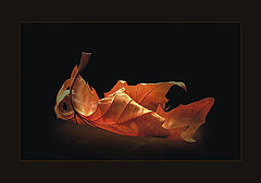 photo "***"