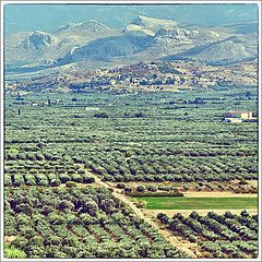 фото "Messara Plain. Crete."