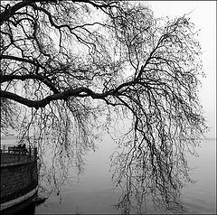 photo "***"
