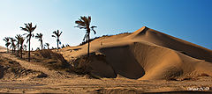 фото "Sand Dune by the see shore"