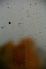 фото "Слёзы осени"