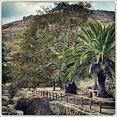 фото "The antique Gortyna. Crete."