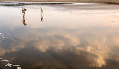 photo "***"