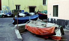 photo "boats"