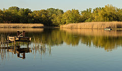 photo "***"