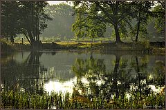 photo "***"