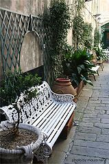 photo "the corner"