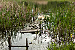 photo "***"
