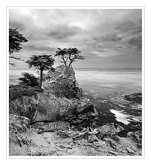 photo "***"