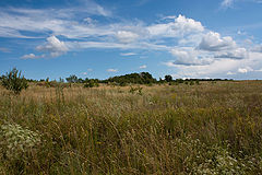 photo "***"