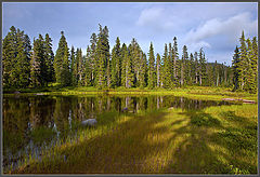 photo "Evening shadows"