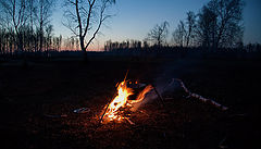 photo "***"