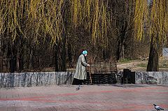 photo "***"