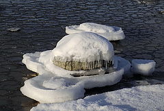 photo "white ships"