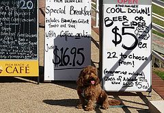 photo "Difficult decision... breakfast or beer..."