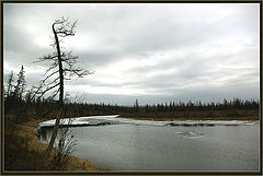 фото "Весенне-северный пейзаж"