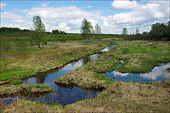 photo "Late Spring"