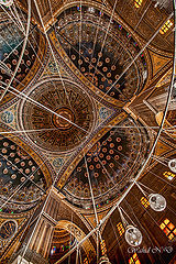фото "Magnifiscence"