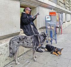 photo "The latest news"