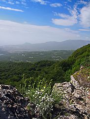 photo "***"