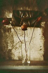 photo "***"
