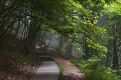 photo "***"