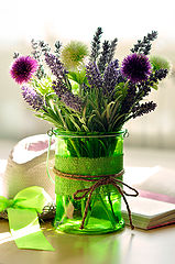 фото "Lavender"