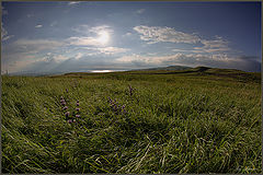 photo "***"