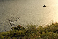 photo "***"