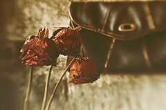 photo "***"