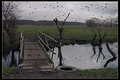 photo "***"