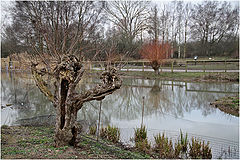 photo "***"
