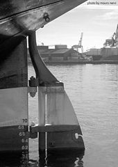 фото "coner in the harbour"