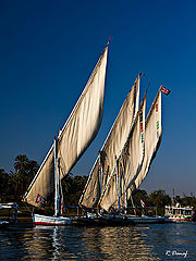 фото "Sailing on the Nile"