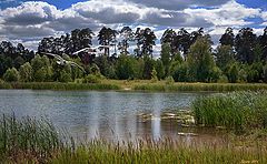 photo "Forest Lake"