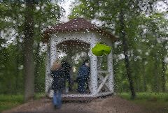 фото "Унесенный дождём...."