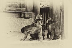 фото "Мед- осмотр"