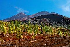 photo "Teide"