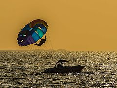 фото "Parasailing"