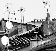фото "roofs"