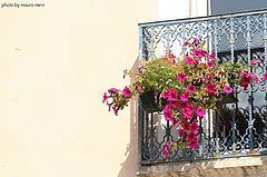 фото "balcony"