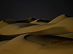 фото "Dunes 31"