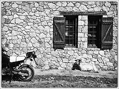 фото "***"